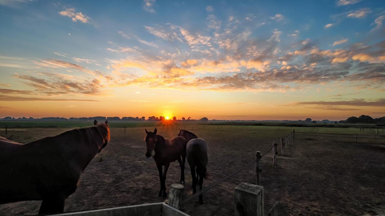 Gastenverblijf Bie Zus Buggenum Exteriér fotografie